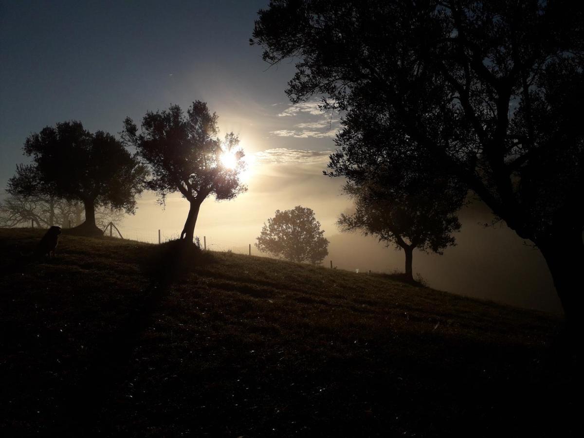 Appartamento Casa della Casa San Severino Marche Esterno foto