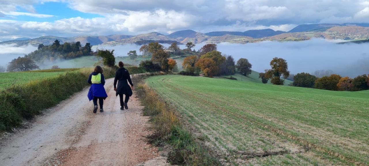 Appartamento Casa della Casa San Severino Marche Esterno foto