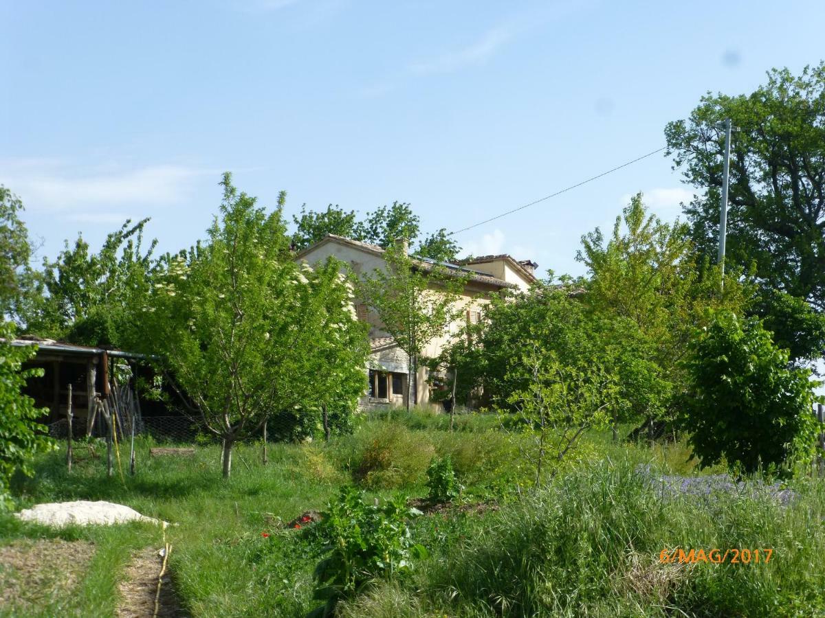 Appartamento Casa della Casa San Severino Marche Esterno foto